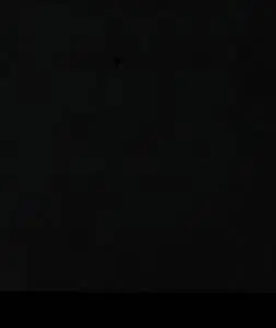 &nbsp;