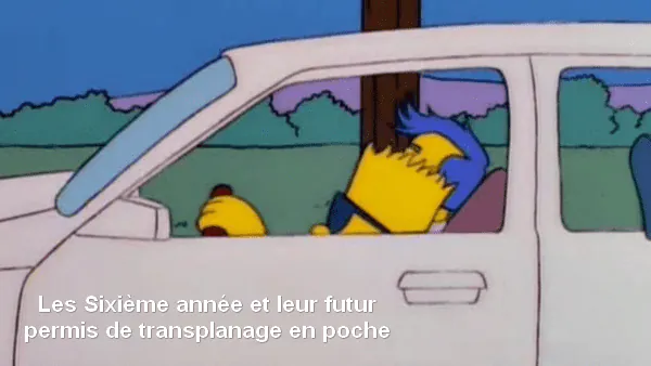 Image postée par le membre