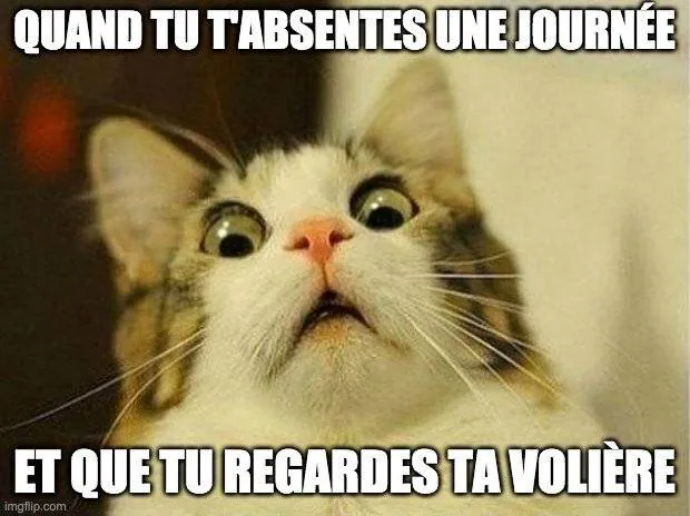 Image postée par le membre