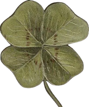 Image postée par le membre
