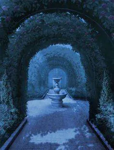 Image postée par le membre
