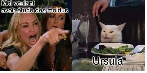 Image postée par le membre