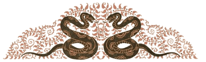 Image postée par le membre