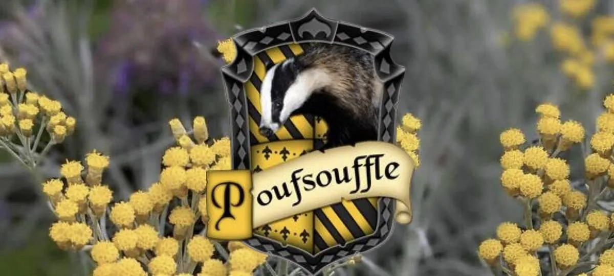Image postée par le membre