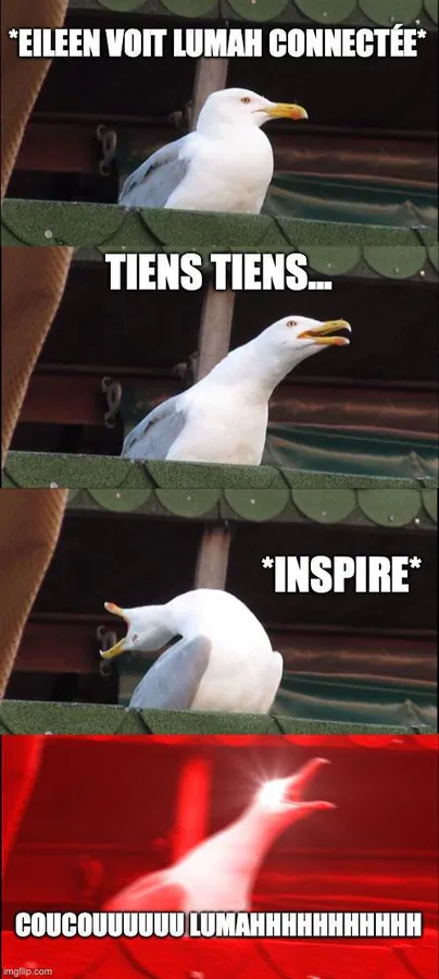 Image postée par le membre