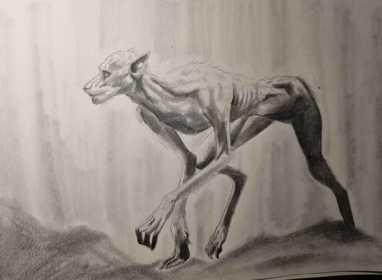 dessin d'un loup garou