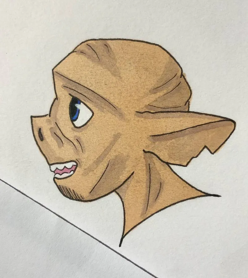 Image postée par le membre