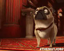 Image postée par le membre