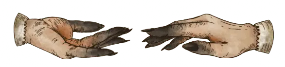 Image postée par le membre