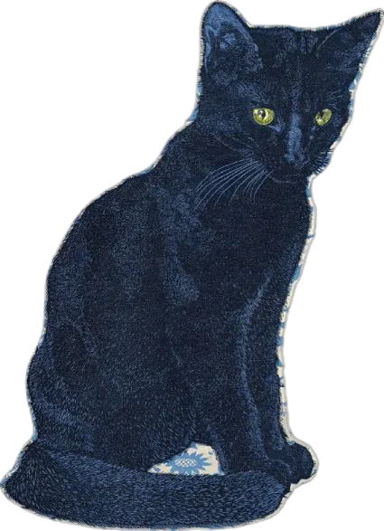 chat noir