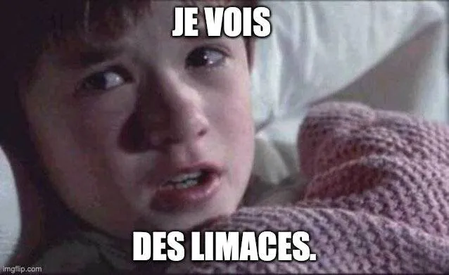 Image postée par le membre