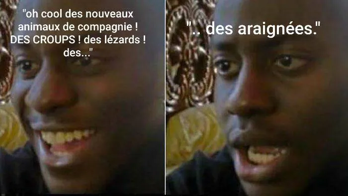 Image postée par le membre