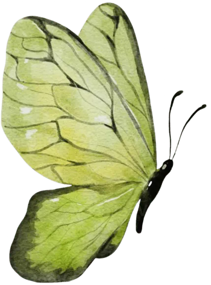 Image postée par le membre