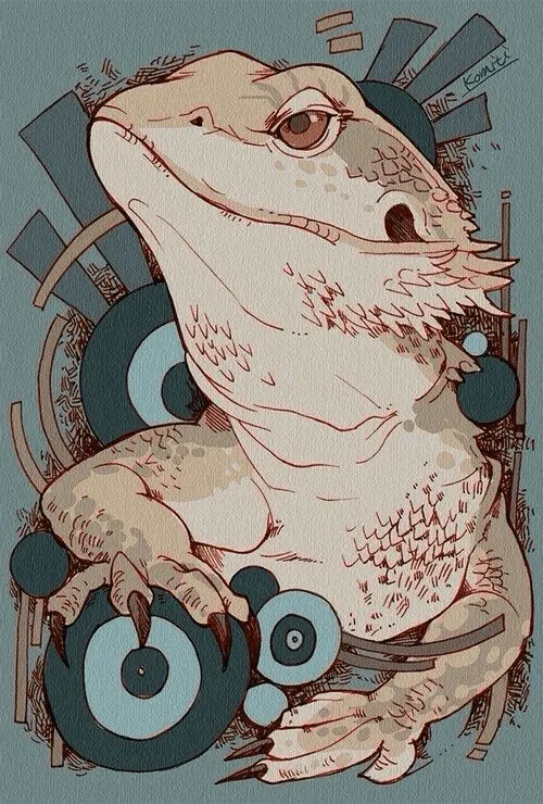 Image postée par le membre