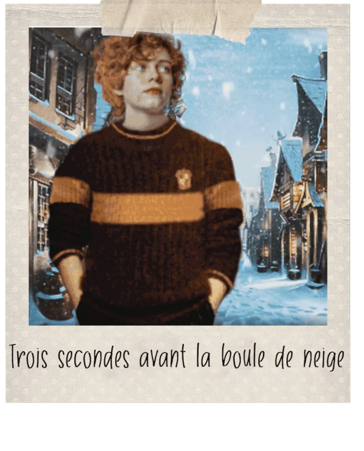 Image postée par le membre