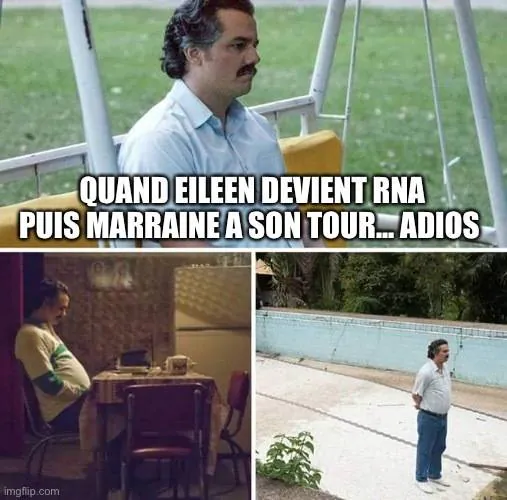 Image postée par le membre