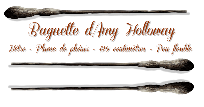 Image postée par le membre