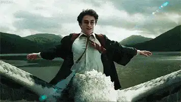 Image postée par le membre