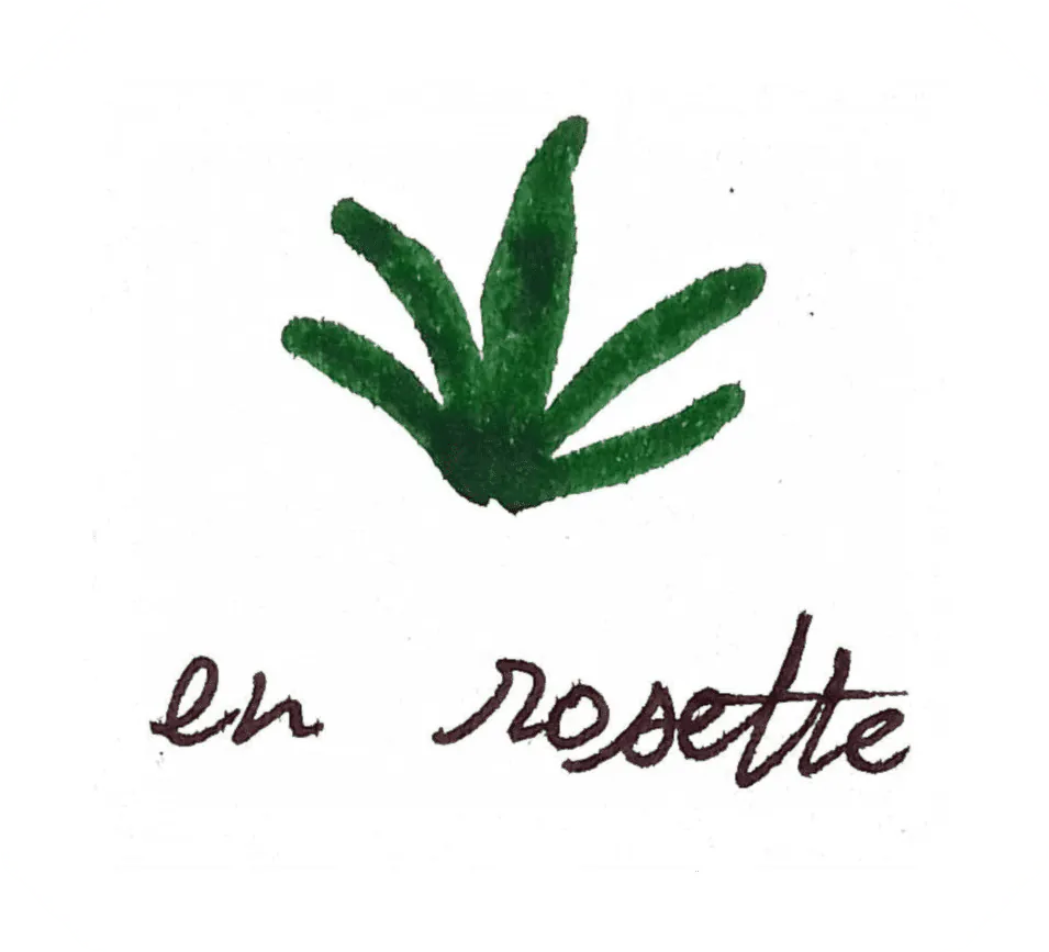 Image postée par le membre