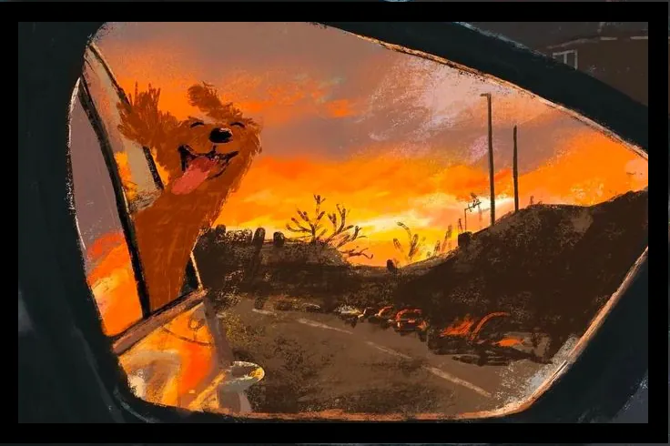 Image postée par le membre