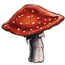 Image postée par le membre