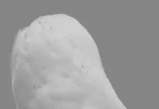 Image postée par le membre
