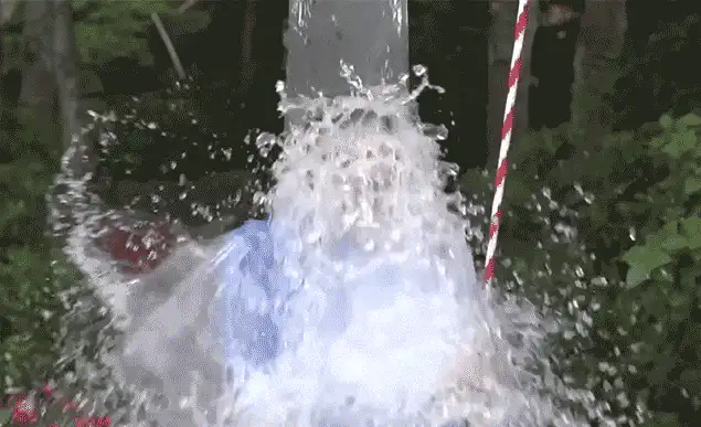 Image postée par le membre