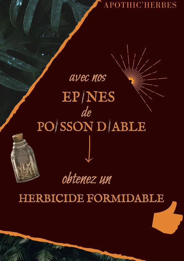 Image postée par le membre