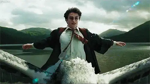 Image postée par le membre