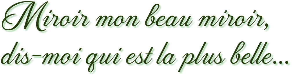 Image postée par le membre