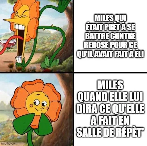 Image postée par le membre
