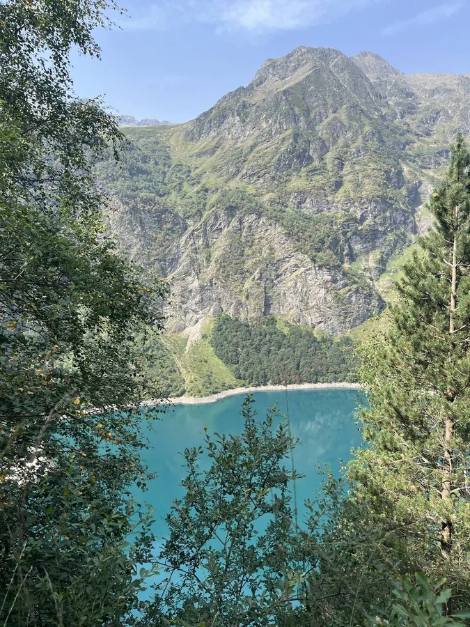 Image postée par le membre