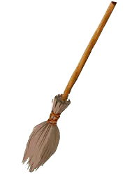 Image postée par le membre