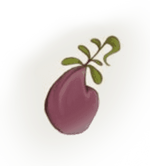 Image postée par le membre
