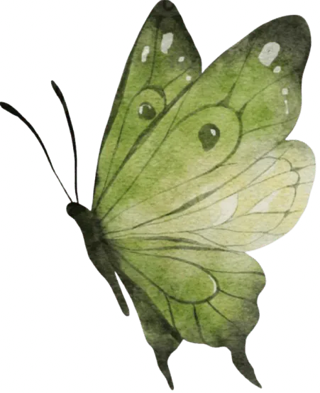 Image postée par le membre