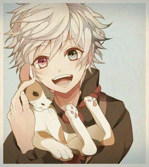 Image postée par le membre