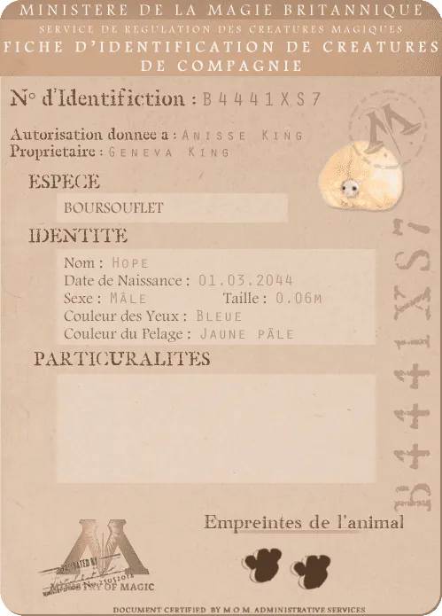 Image postée par le membre