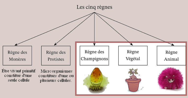 Image postée par le membre