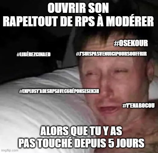 un meme sur le fait de devoir modérer des rps après avoir pas lu lesdits rps pendant 5 jours (j'en ai 50 à lire)