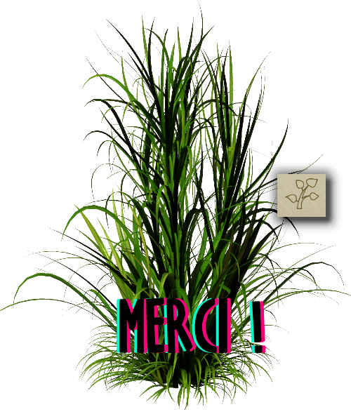 Image postée par le membre