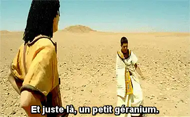 Image postée par le membre