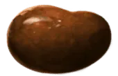 Image postée par le membre