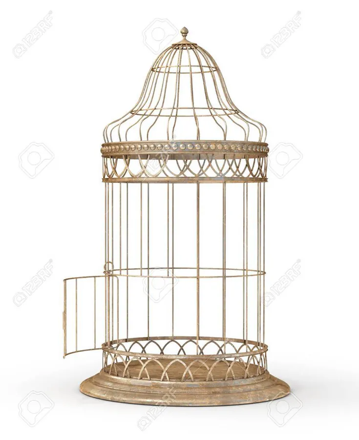 Image postée par le membre