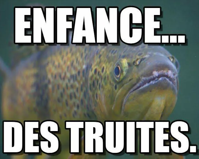 Image postée par le membre