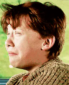 Image postée par le membre