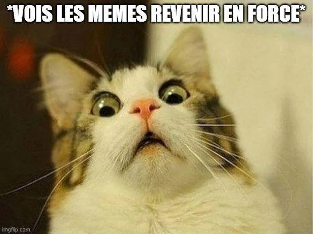 Image postée par le membre