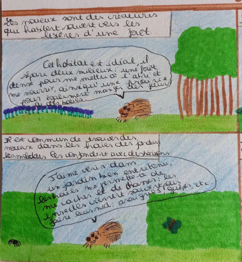 Image postée par le membre