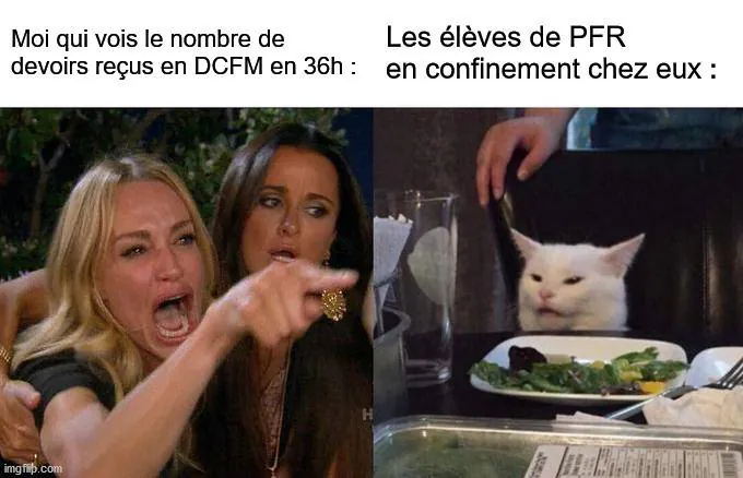 Image postée par le membre