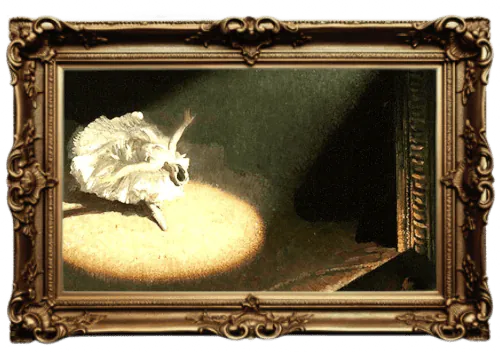 Image postée par le membre