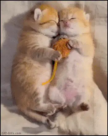Image postée par le membre